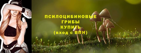 шишки Арсеньев