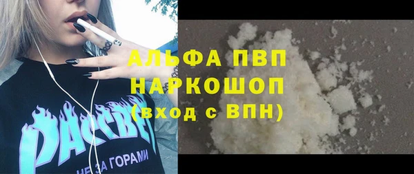 шишки Арсеньев