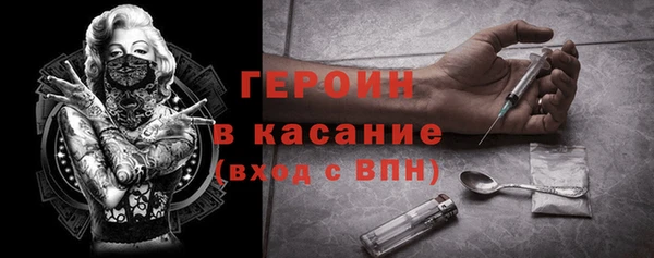 шишки Арсеньев