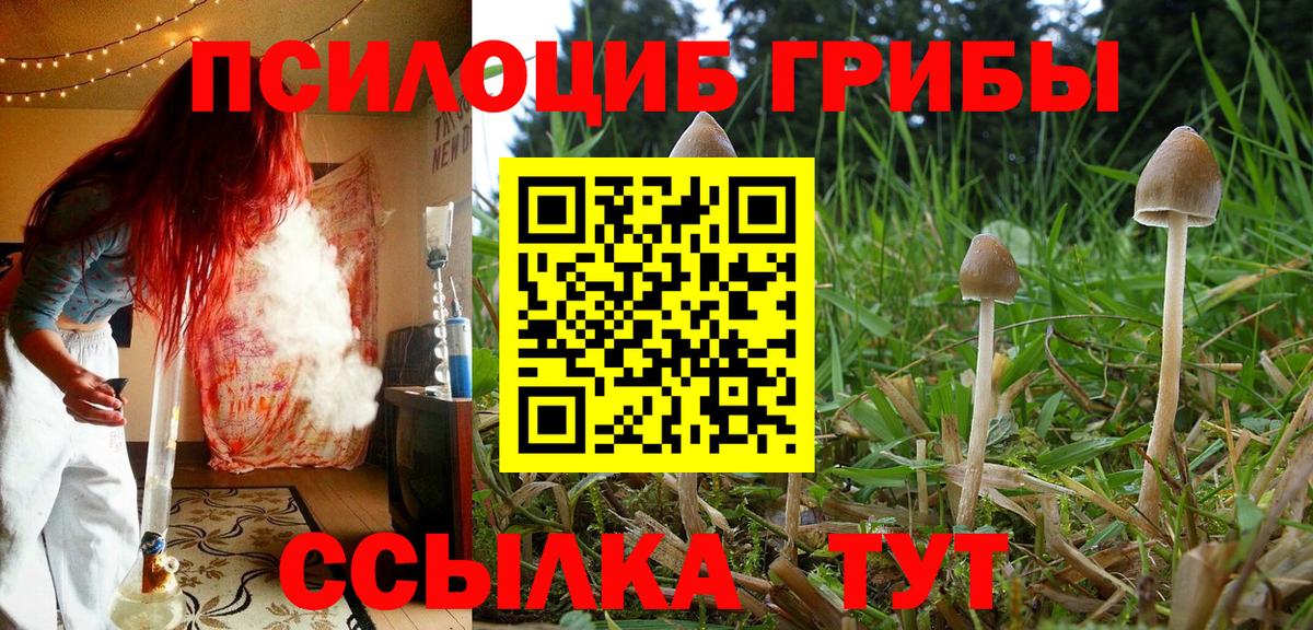 Галлюциногенные грибы Psilocybe  Псилоцибиновые грибы ЛСД  Вход с VPN  Майкоп 