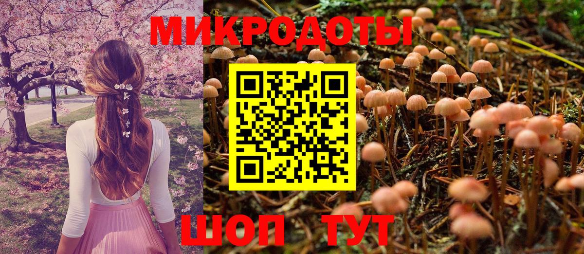 Псилоцибиновые грибы Psilocybine cubensis Майкоп